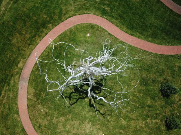 ARBOL NEURONAL